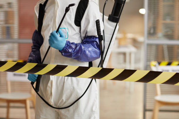 Professional Hoarding Cleanup technician working in Olympia, WA