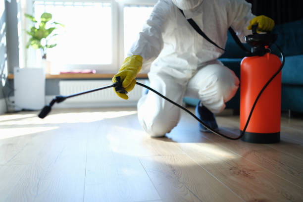 Reliable Hoarding Cleanup contractor in Olympia, WA by Dulley Family Biohazard Services